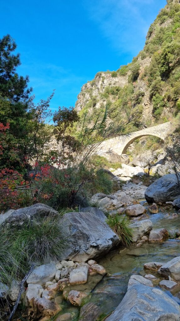 A picture of the Cin bridge taken few months later by M.me O.